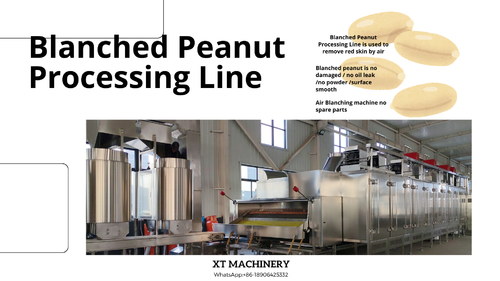 Latest company news about 5 tips om onze Blanched Peanut Processing Line te kiezen