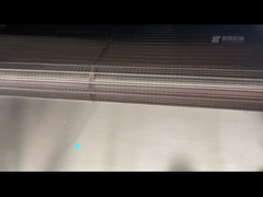 Continu beltoven 300 kg/h Elektrische verwarming Nootroaster met luchtkoeling