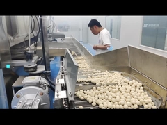 Elektrische Met een laag bedekte Pindaschommeling Oven Coated Peanut Roastr 100KG/h