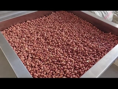 PLC-besturing Continuous Nuts Oven Continuous Nuts Roaster Dryer/Roaster