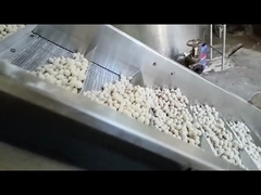 Continu gebakken machine