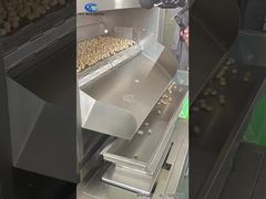 Continue Hawaïaanse noten-/pindaoven/Grote riembrander/Volautomatische notenbakmachine