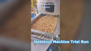 Video over het proefdraaien van de hazelnootmachine is hier! De perfecte keuze voor voedselverwerkingsfabrieken. #machine