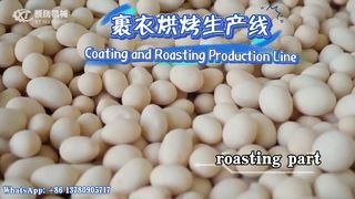Machine voor het maken van gecoate pindaburgers/productielijn#pinda#productielijn#machine#coating#roaster