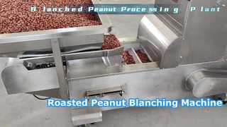 geroosterde pinda geblancheerde machine