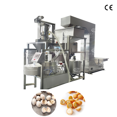 Volledig automatische Peanut Coating Machine Eenstation Coating Machine