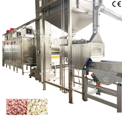 Goede prijs. SS304 Split Peanut Roasting and Blanching Production Line met CE-certificering online