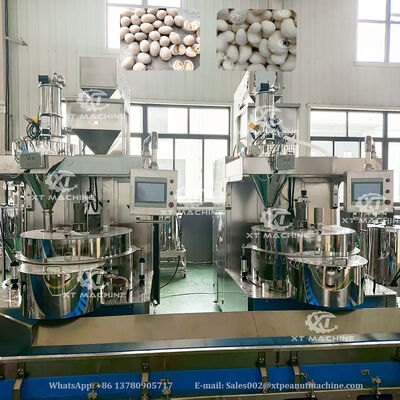 Goede prijs. Volautomatische SUS304 Pinda Coating en Frituur Productielijn met 500-1000kg/u Voor Notenverwerkingsfabrieken online