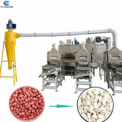 Goede prijs. Hoogwaardige 1000 kg/h-2000 kg/h SUS304 Noot snij- en blansmachine voor verwerkingsapparatuur voor noten online